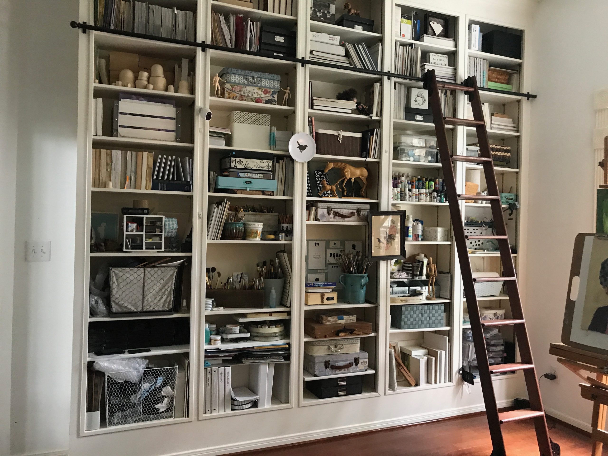 library wall with rolling ladder